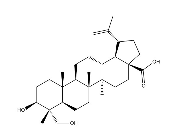 23-羥基白樺酸|85999-40-2
