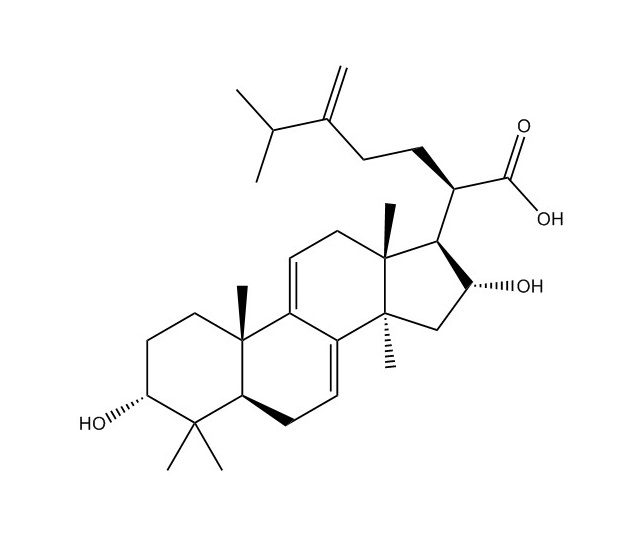 3-表去氫土莫酸|167775-54-4
